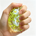 thumbnail image 6 of CYFW Dumpling Squashy,Mystery Squashy Dumpling Box,Fidget Toys Adults,Easter Basket Stuffers,Stocking Stuffers,Sensory Stress Ball Squeeze Toys for Stress Relief, 6 of 7