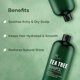 thumbnail image 2 of Champú Botanic Hearth Tea Tree con vitamina C, 480 ml, combate la caspa, 2 of 6