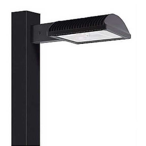 RAB Lighting 50W LED ALED50 Cool Type IV Bronze Area Light with 8in Pole