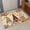 Orange, variant on Hallway Runner Rug 31.5"x78.7", Lake Farmhouse Absorbent Non Slip Indoor Outdoor Carpet, Vintage Wood Grain Country Pastoral Low Profile Runner Rugs for Corridor Kitchen Laundry Room Mudroom Entryway