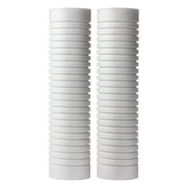 A. O. Smith Whole House Sediment Filter Replacement - 5 Micron - 2 Pack