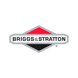 Briggs and stratton 550 carburetor sale