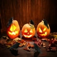 thumbnail image 3 of Simulation Black Crow Toy Party Supplies Halloween Prop Animal Model, 3 of 6