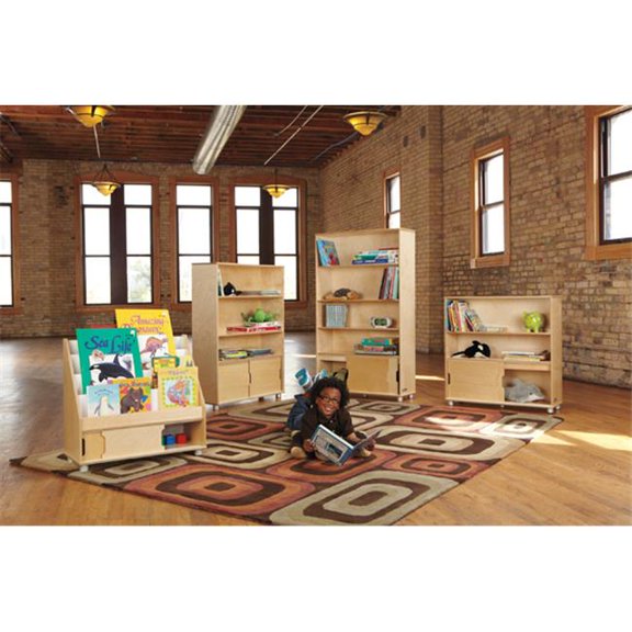 Bookcase Storage