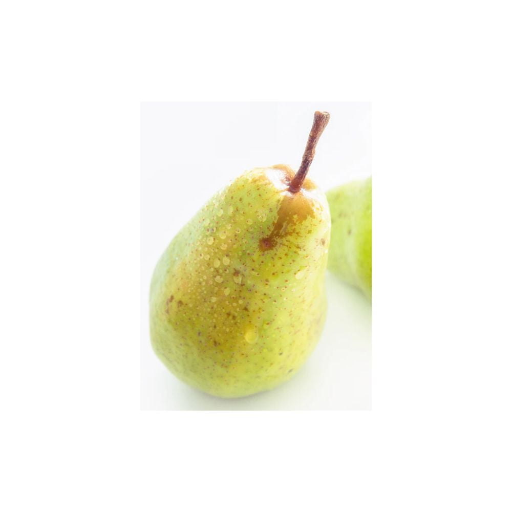 Expert Gardener 3-4 ft tall Orient European Pear Live Tree in 7-Gallon Grower Pot