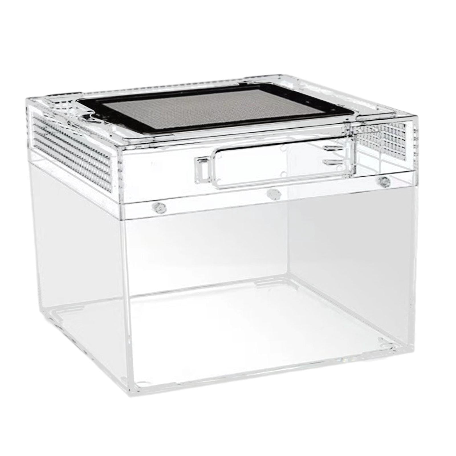CarpNettore Reptile Terrarium Reptile Tank Ventilation Transparent Breeding Box Habitat for Turtle Scorpions Lizards Horned Frogs Geckos 20cmx20cmx15cm