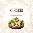 thumbnail image 4 of Champú CP-1 GINGER PURIFICANTE, recuperador y fortalecedor, 500 ml, 4 of 7
