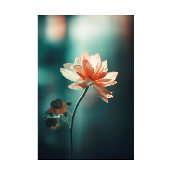 Trademark Fine Art Treechild  Coral Flowers At Night Canvas Wall Art