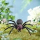 thumbnail image 2 of Figuras de Araña de Plástico Sunnimix Grande, 2 of 8