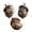 A, variant on 3 PCS 2D Forest Animal Acorn Ornaments – Cozy Forest Woodland Friends Acorn Dreams Ornaments – Pine Cone Animal Christmas Decor, Squirrel Hanging Ornament for Christmas Tree
