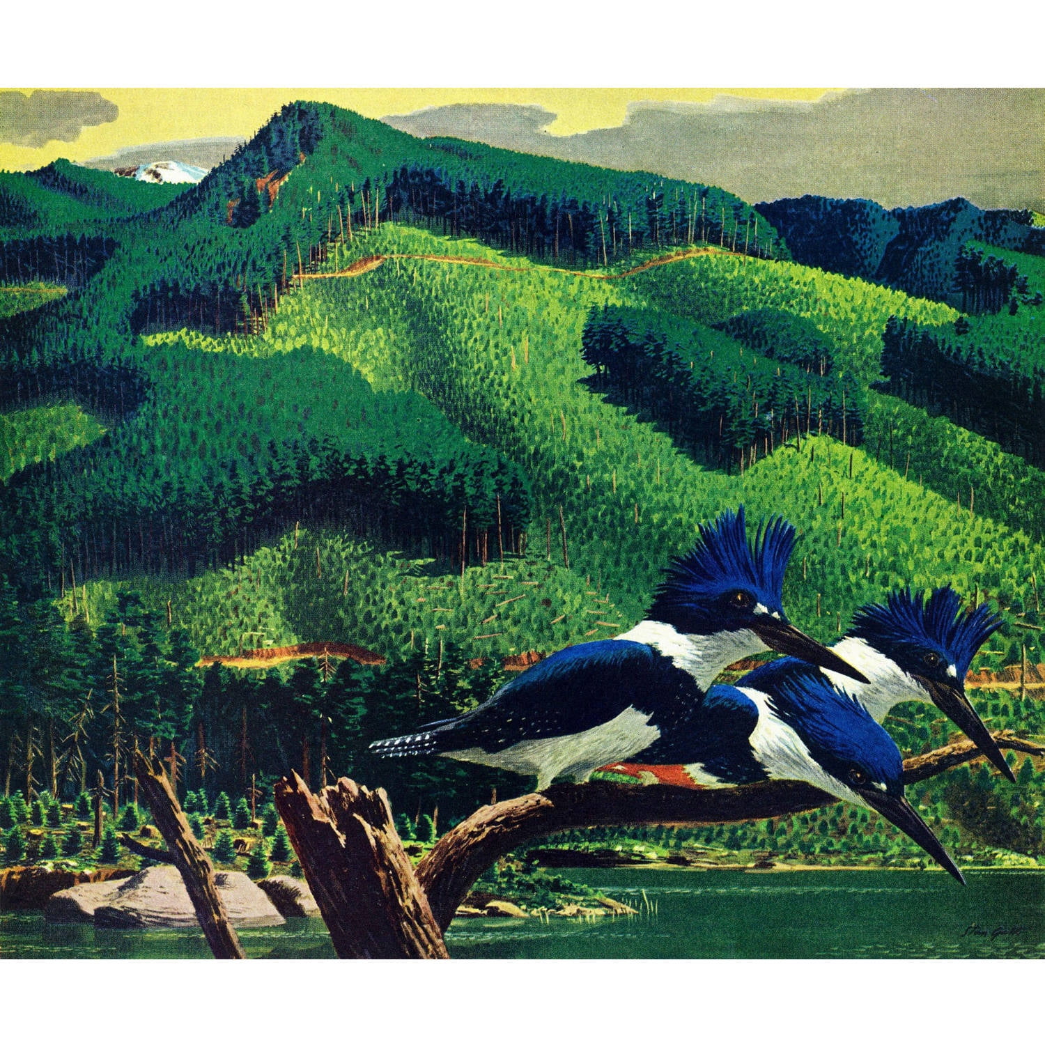 Marmont Hill - "Kingfishers" Painting Print on Wrapped Canvas