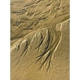 thumbnail image 2 of Grayscale 15x18 Gold Ornate Wood Framed with Double Matting Museum Art Print Titled - Wet Sand III, 2 of 4