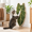 Velvet taro, variant on Green Leaf-Shaped Sisal Cat Pad for Wall or Floor, Large Size