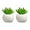 C, variant on GUENG 2Pcs Artificial Hanging Plant Fridge Magnets, 3D Fake Vine Succulent Decor Magnets for Fridge Whiteboard Locker Office (A)