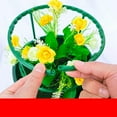 Hair Color Brush Flower Indoor Trees Rooting Device Eyes For Animals hair-color-brush-flower-indoor-trees-rooting-device-eyes-for-animals