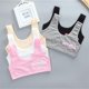thumbnail image 1 of Teen bra girl vest Cotton Spandex Big Girl's Sport 7-14 Years Adolescente Kids Underwear Letter Racerback Training 1 piecePink8 He Qiyong unisex, 1 of 1