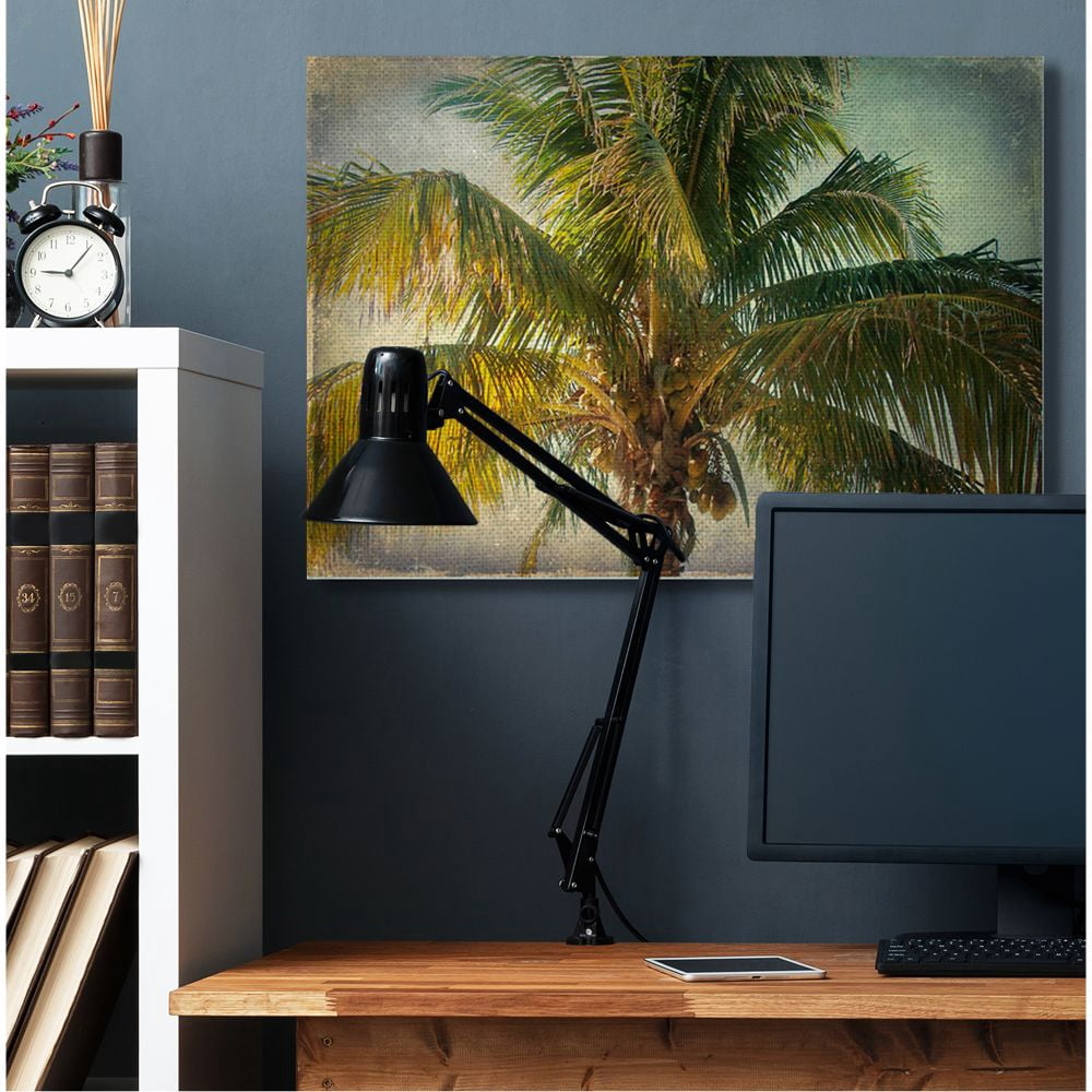Stupell Industries Distressed Tropical Summer Palm Tree Frond Photograph Designed by Ashley Calhoun