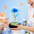 thumbnail image 3 of Flor Gift Childom Rainbow Rose en cúpula de cristal para mujer, 3 of 7