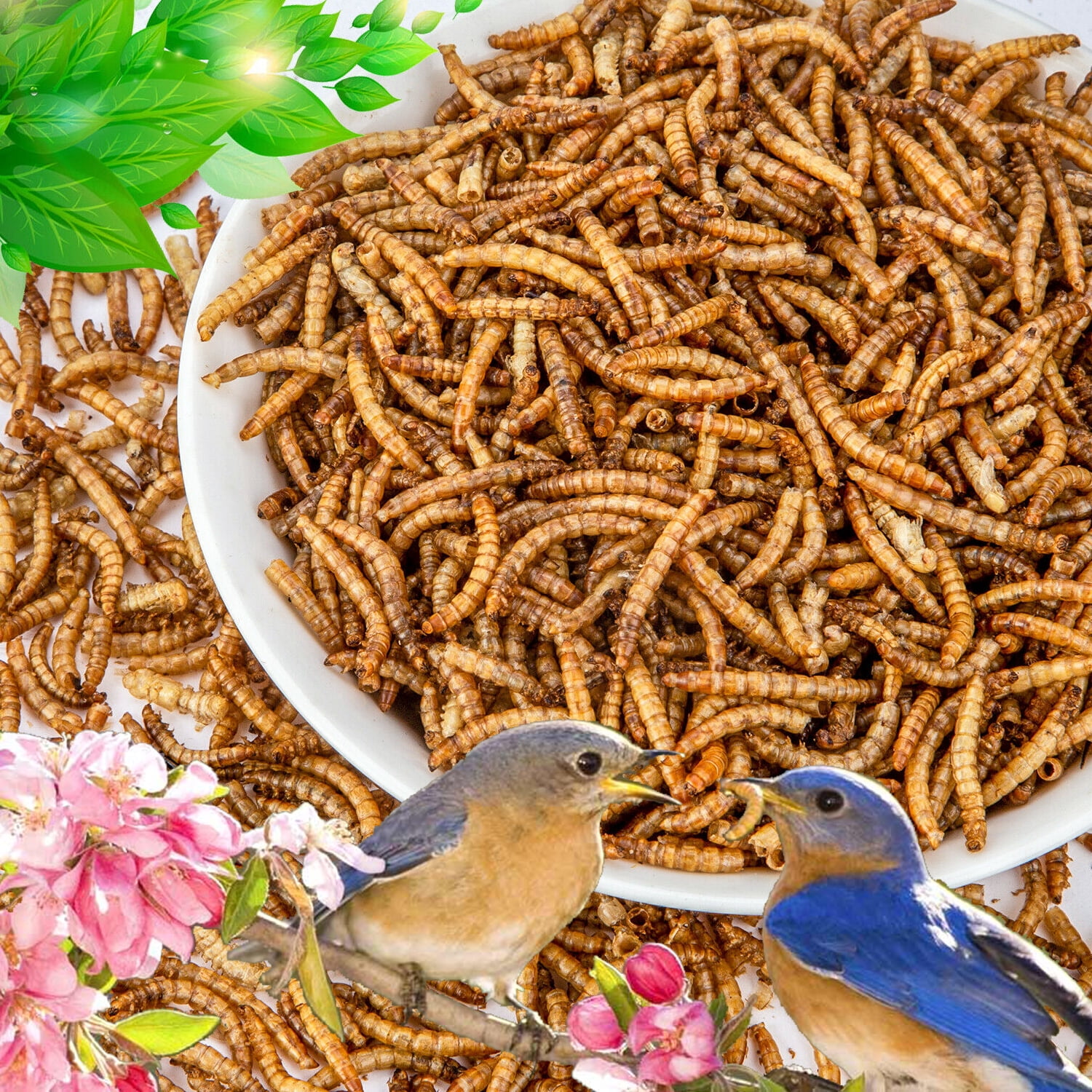 Amzey 2 Pack 1 lb Dried Mealworms for Chickens, Pet Birds, Chicken Feed, Bluebirds Food, Parakeet Food, Wild Birds Food, 2 lbs Total