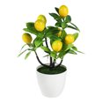 thumbnail image 2 of Iumwxz Artificial Potted Plant with 7 Pachycarpus Fortunei Large Fruit Bonsai for Indoor Tabletop Decoration Fake Plants No Maintenance Required, 2 of 6