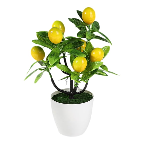 Artificial Pachycarpus Fortunei Bonsai Tree with Large Fruit – 8.66 in H Plastic Home Decoration for Living Room Coffee Table Wine Cabinet