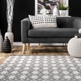 thumbnail image 5 of nuLOOM Skye Geometric Cotton Flatweave Area Rug, 4' x 6', Skye Ivory, 5 of 5