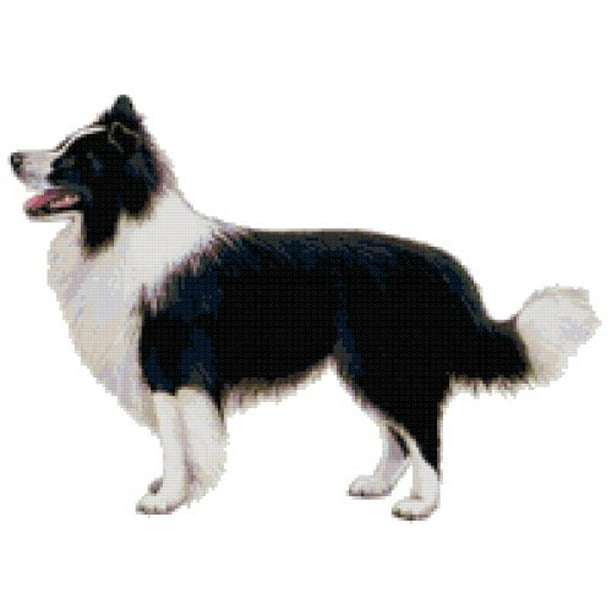 Border Collie Dog Counted Cross Stitch Pattern