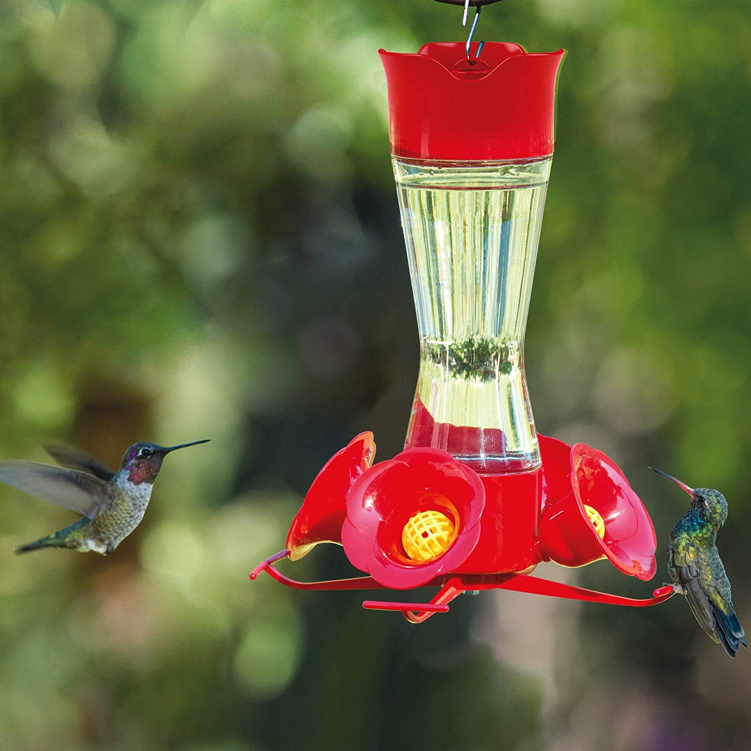 Hummingbird 7" Hanging Feeder Starter Kit 2-Pack Bundle Plus Nectar 