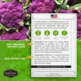 thumbnail image 4 of 5 Packs Di Sicilia Violetto Purple Cauliflower Seeds - Non-GMO Heirloom Biennial Full Sun Vegetable, 4 of 6