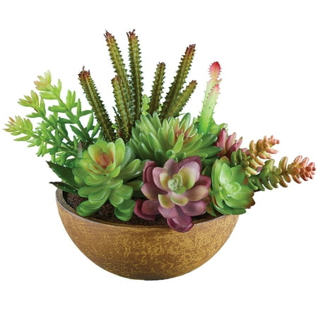 Collections Etc Artificial Succulent Arrangement in Lovely Textured Bowl - Add Style to Any Table Desk Shelf Tabletop or Windowsill - Multiple Shades of Green Red Purple