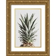 thumbnail image 1 of Artographie Studio 17x24 Gold Ornate Wood Framed with Double Matting Museum Art Print Titled - Pineapple Natural 02, 1 of 4