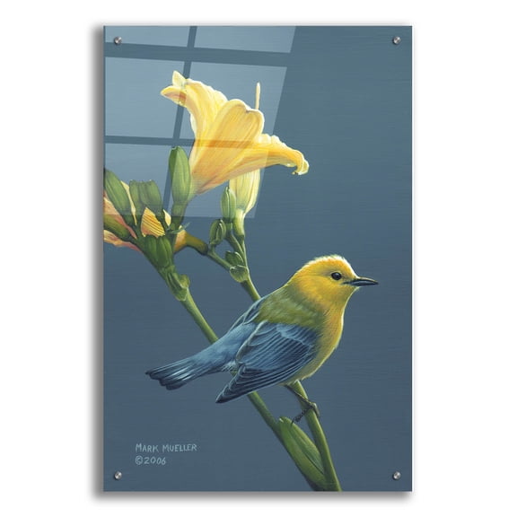 Epic Art 'Colors of Summer - Prothonotary Warbler' by Mark Mueller Wildlife Art, Acrylic Glass Wall Art, 24"x36"