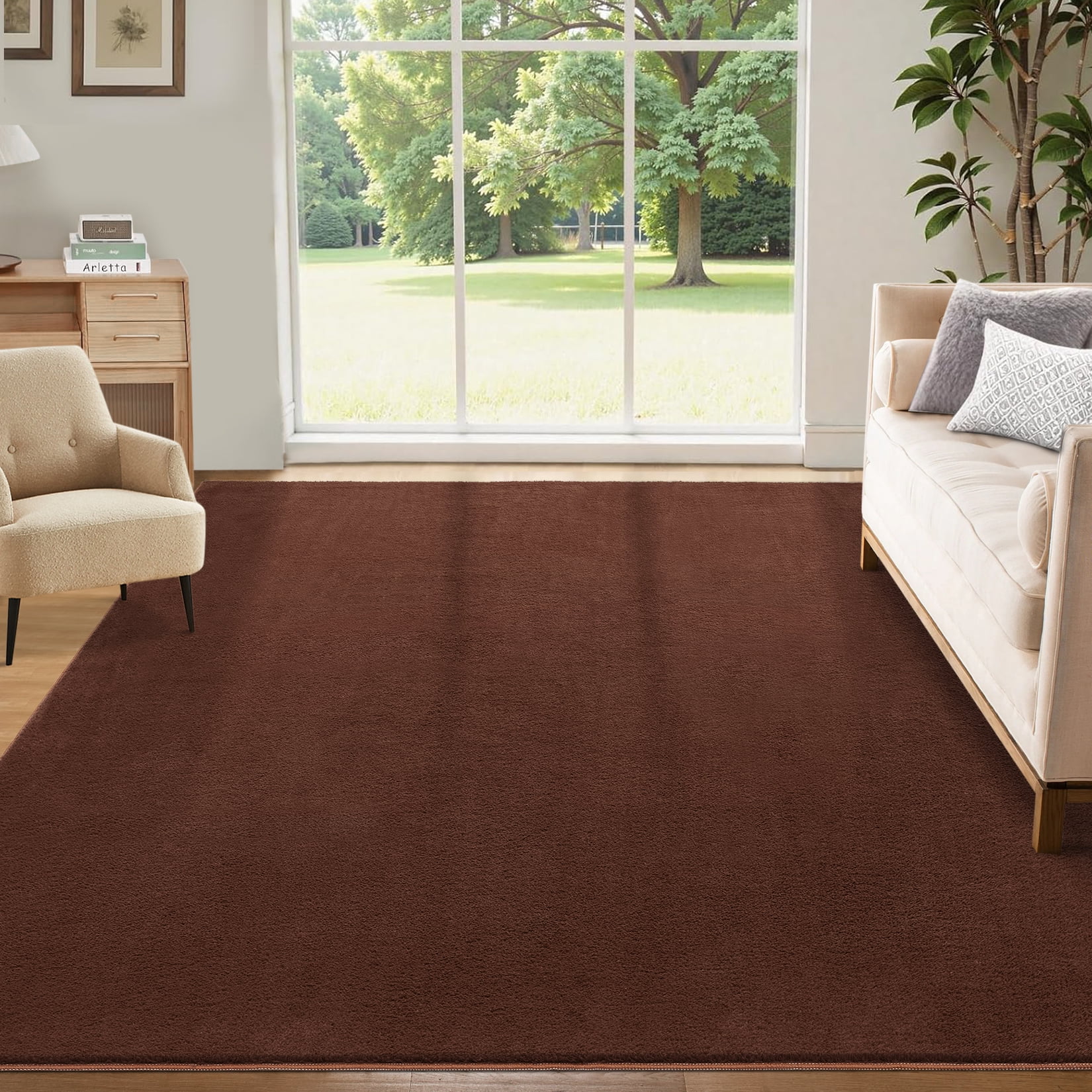 Hasoo Washable Area Rug Modern Minimalist Brown Rug with Non Slip Backing Soft Fluffy Living Room Carpet