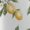 A468-501, variant on Yellow Lemons-Limones Dress Loose Women'S Dress Beach Dresses With Pockets Dresses For Womens
