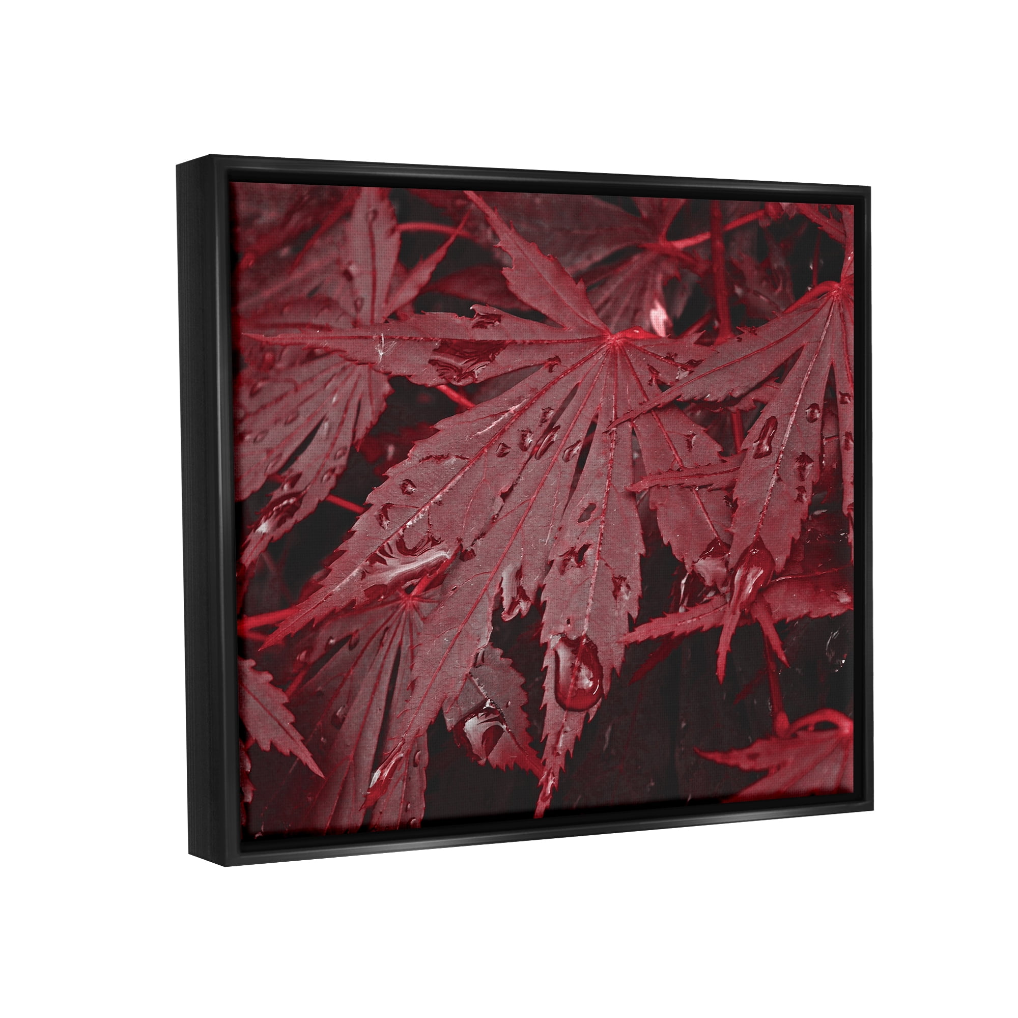 Stupell Industries Red Maple Leaves Botanical & Floral Photography Black Floater Framed Art Print Wall Art, 31 x 25