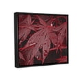 thumbnail image 3 of Stupell Industries Red Maple Leaves Botanical & Floral Photography Black Floater Framed Art Print Wall Art, 21 x 17, 3 of 9