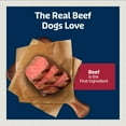 thumbnail image 3 of Blue Buffalo Bits Natural Soft Moist To Go Dog Training Treats Beef Recipe Bags, 3 of 10