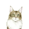 thumbnail image 2 of Popp, Grace 12x14 Black Ornate Wood Framed with Double Matting Museum Art Print Titled - Cat Portrait IV, 2 of 4