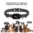 thumbnail image 5 of Bark Collar B630Plus - Smart Dual-Trigger Recognition, Small to Large Dogs, Waterproof, 5 of 9