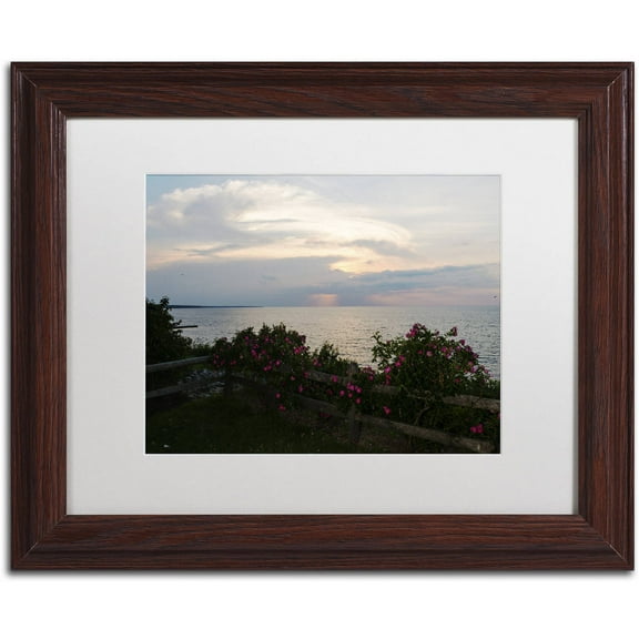 Trademark Fine Art "Roses in Bloom Along the Lake" Canvas Art by Kurt Shaffer, White Matte, Wood Frame