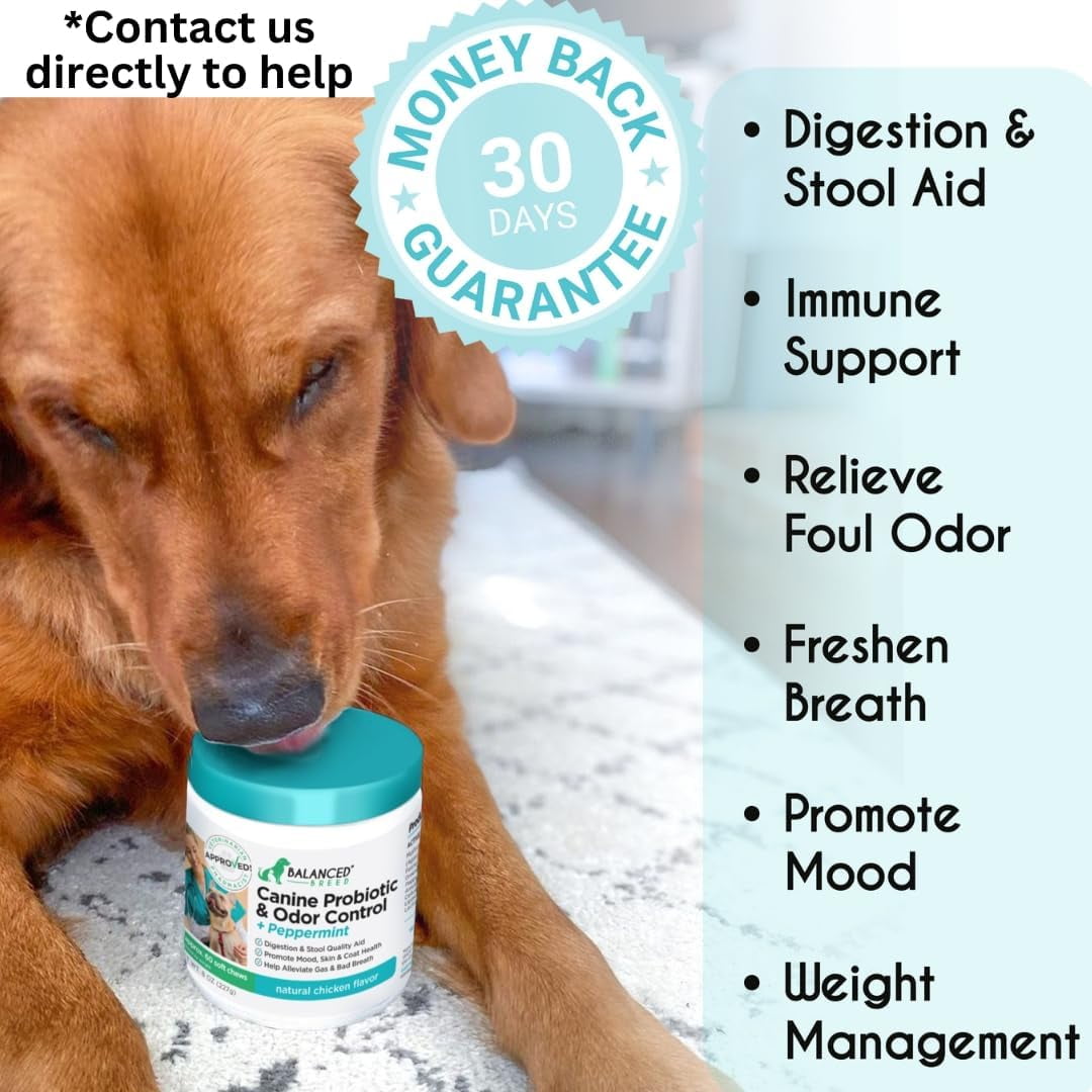 Balanced Breed Dog Probiotic & Odor Control Chews Bad Breath Digestion Enzyme Supplement Soft Chews, Chicken Flavor, 60 Count Jar