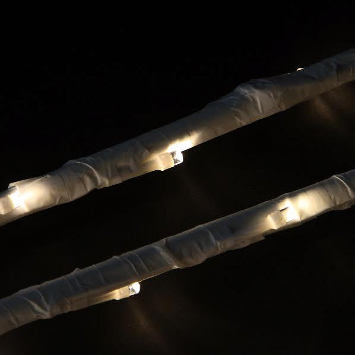 Northlight LED Lighted Branch Spray Outdoor Christmas Decoration - 72" - Set of 6
