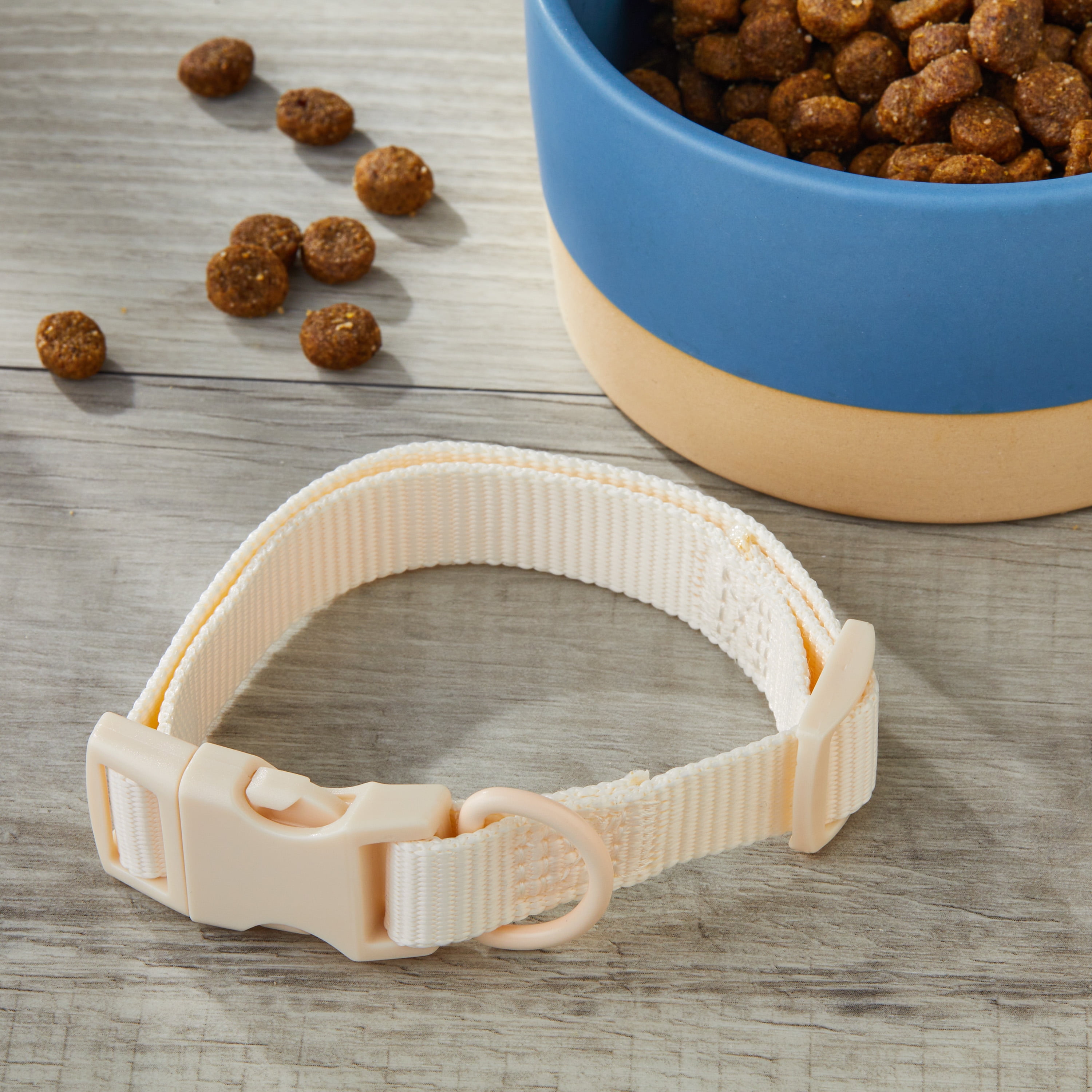 Vibrant Life Solid Adjustable Dog Collar, Cream, Small