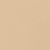 118 Light Beige