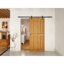 1000 Series Barn Door Hardware Finish: Brushed Steel