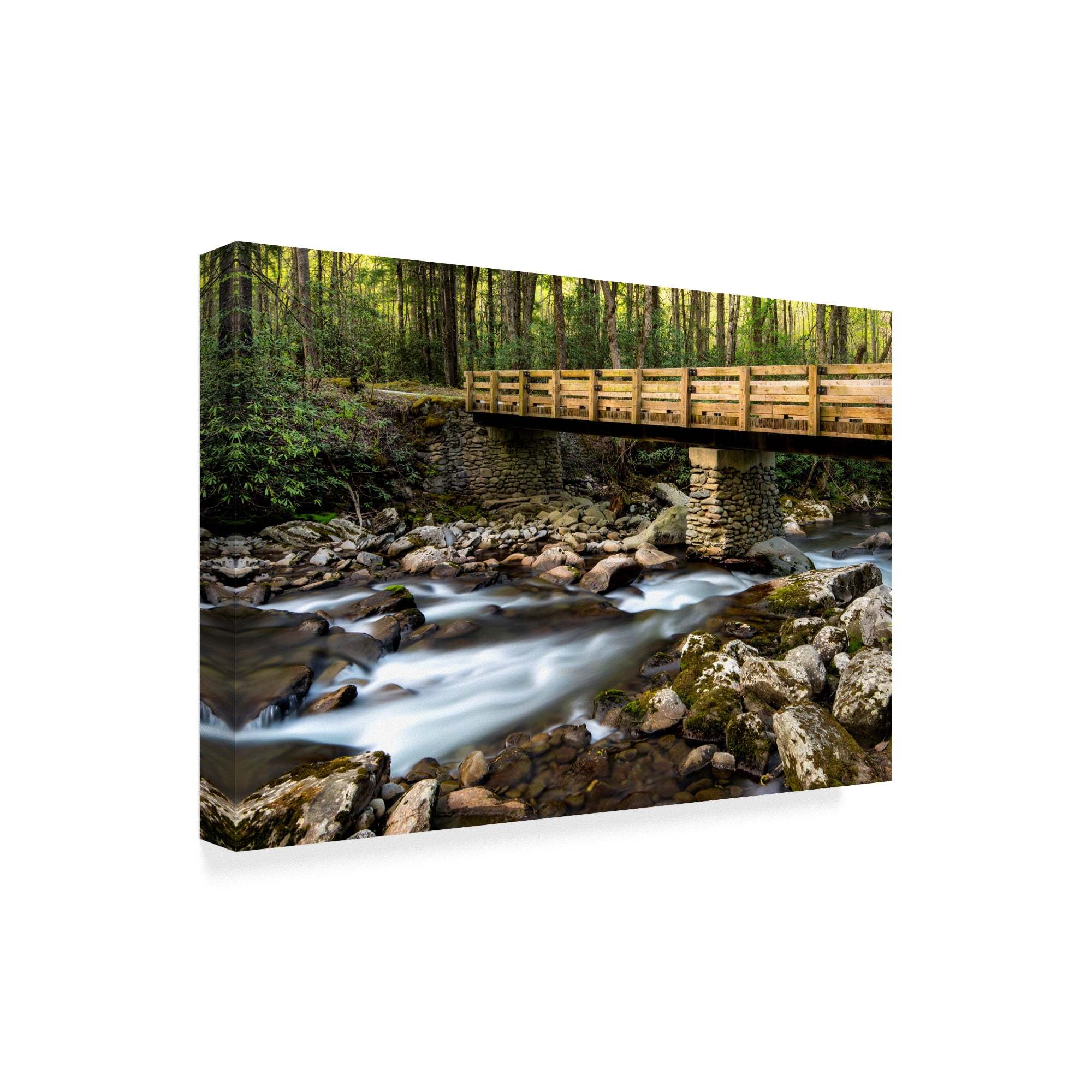 Trademark Fine Art 'Bridge and Cascade I' Canvas Art by Danny Head