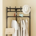 CaiTeLin Coat Rack Freestanding Closet Organizer Hall Tree with 2