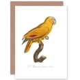 thumbnail image 1 of Yellow Amazon Bird Greetings Card Plus Envelope Blank inside, 1 of 3