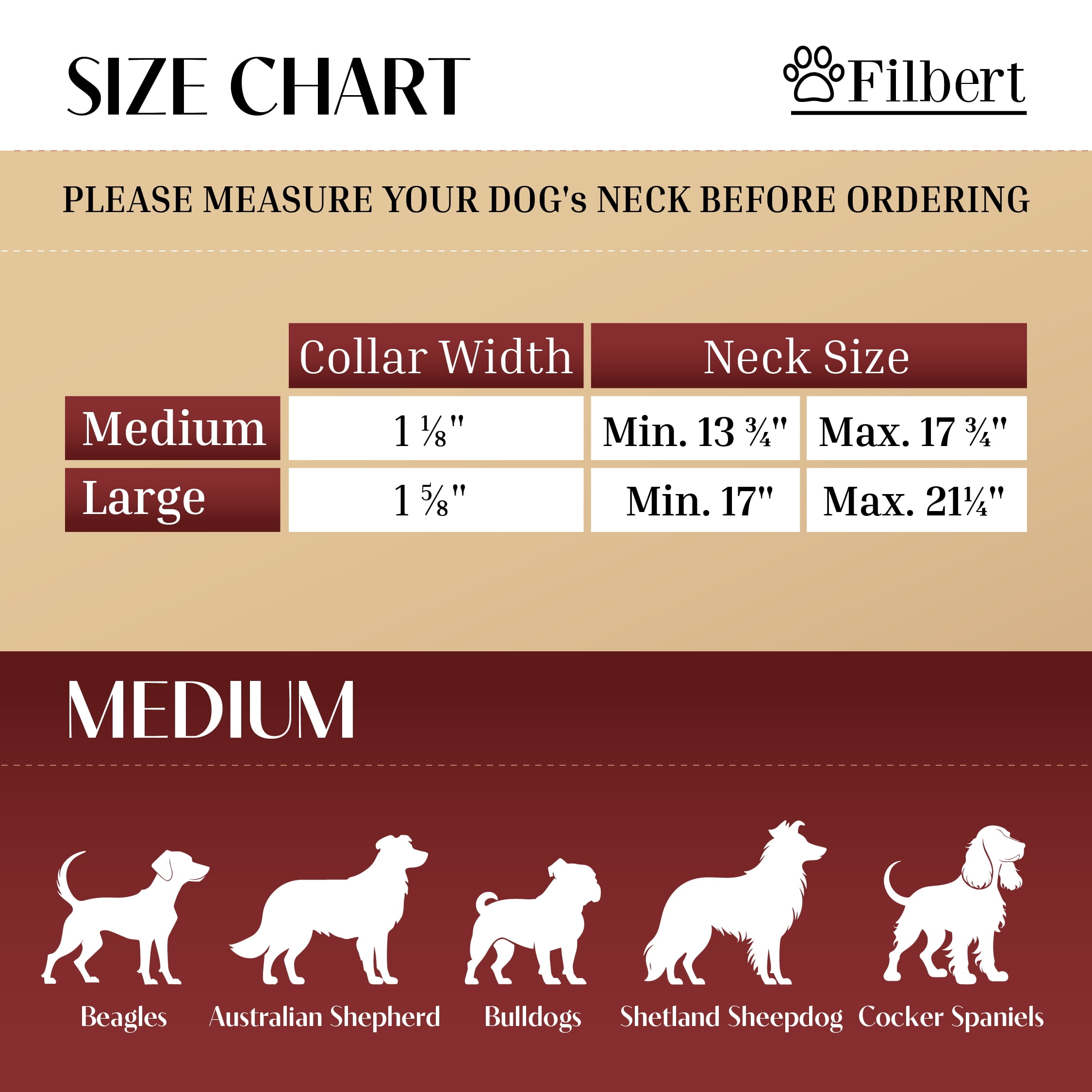Filbert Leather Dog Collar with Airtag Holder, Airtag Collar For Medium Dogs, Leather, Vegetable Tanned Full Grain, Adjustable for All Breeds,  Heavy Metal Buckle, Ultra-Durable