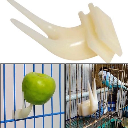 Curated visual reference: Fresh Look at Cheers Pet Bird Cage Mount Plastic Fruit Fork Parrot Hamster